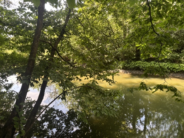 15653 West Baker Road Manhattan, IL 60442 - Photo 21 of 22