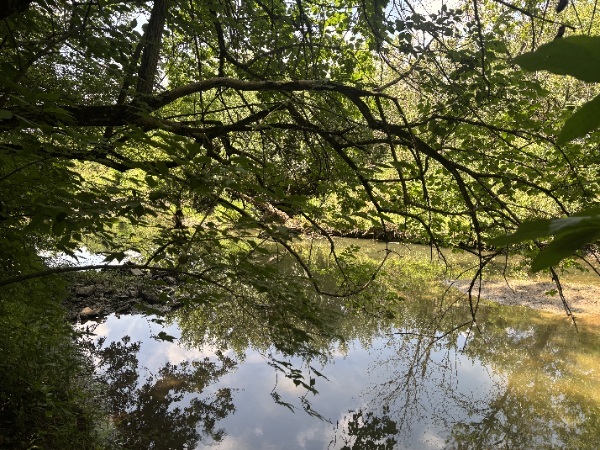 15653 West Baker Road Manhattan, IL 60442 - Photo 22 of 22