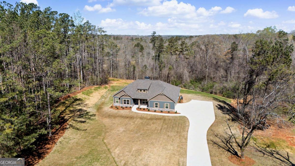 1861 Smokey Road Newnan, GA 30263 - Photo 42 of 49