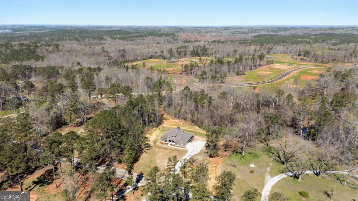 1861 Smokey Road Newnan, GA 30263 - Photo 45 of 49