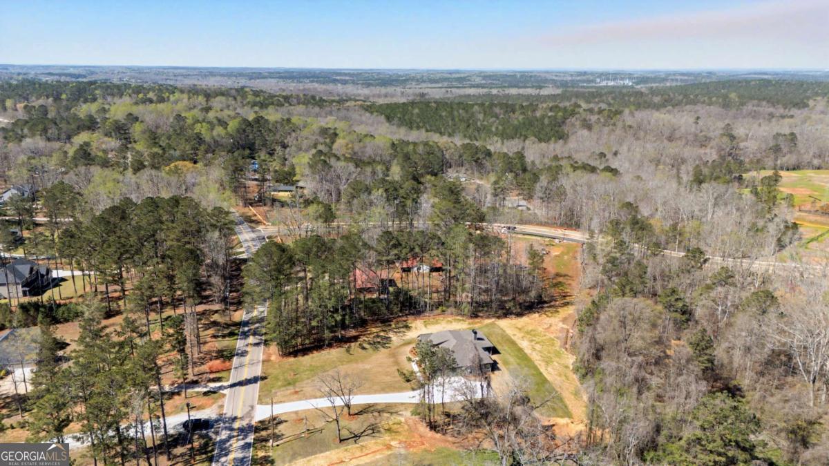 1861 Smokey Road Newnan, GA 30263 - Photo 46 of 49