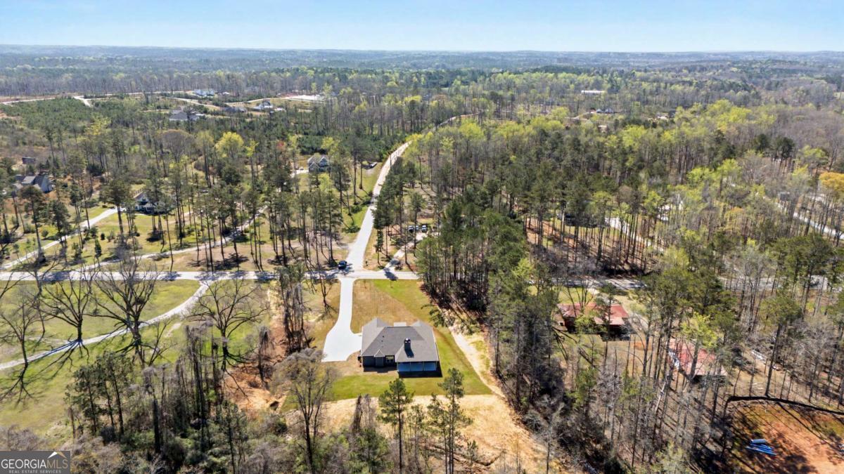 1861 Smokey Road Newnan, GA 30263 - Photo 47 of 49