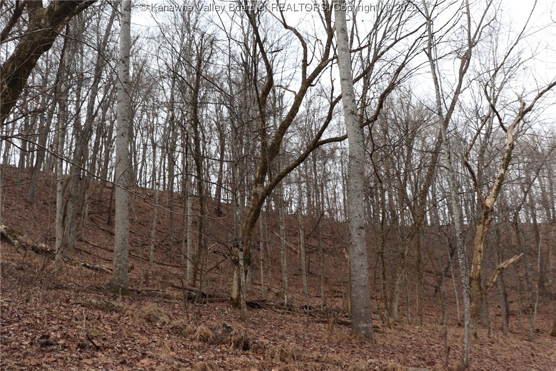 0 Route 12 Road Alum Creek, WV 25003 - Photo 13 of 44 Gallery Image 13