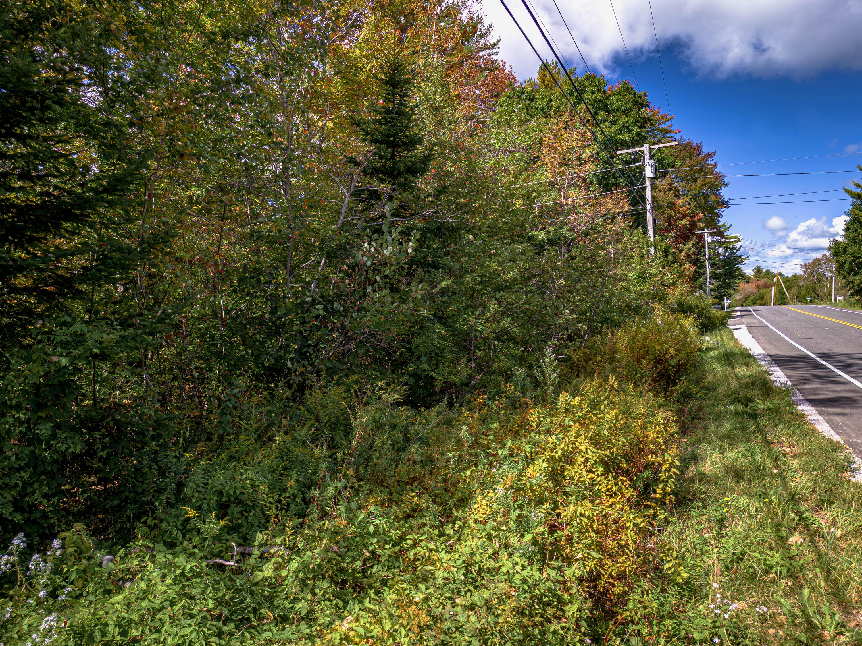 183 Seal Harbor Road Spruce Head, ME 04859 - Photo 9 of 15 Wooded lot on 125 feet of Road Frontage
