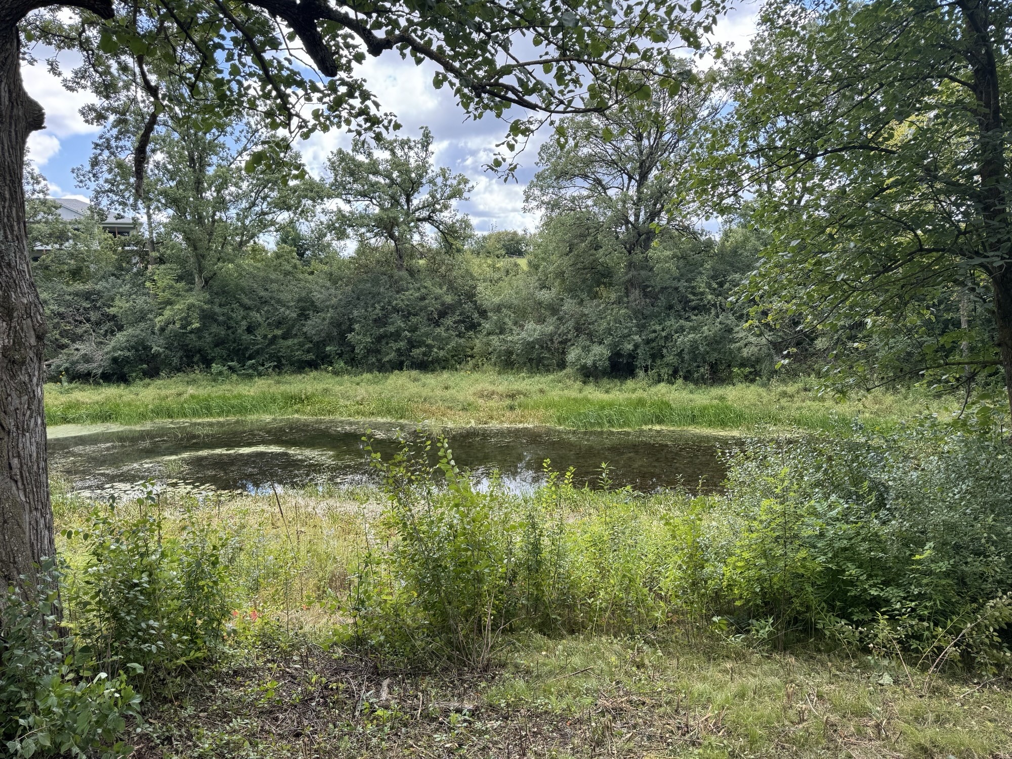 Lot 28 21st Street Rice Lake, WI 54868 - Photo 6 of 40