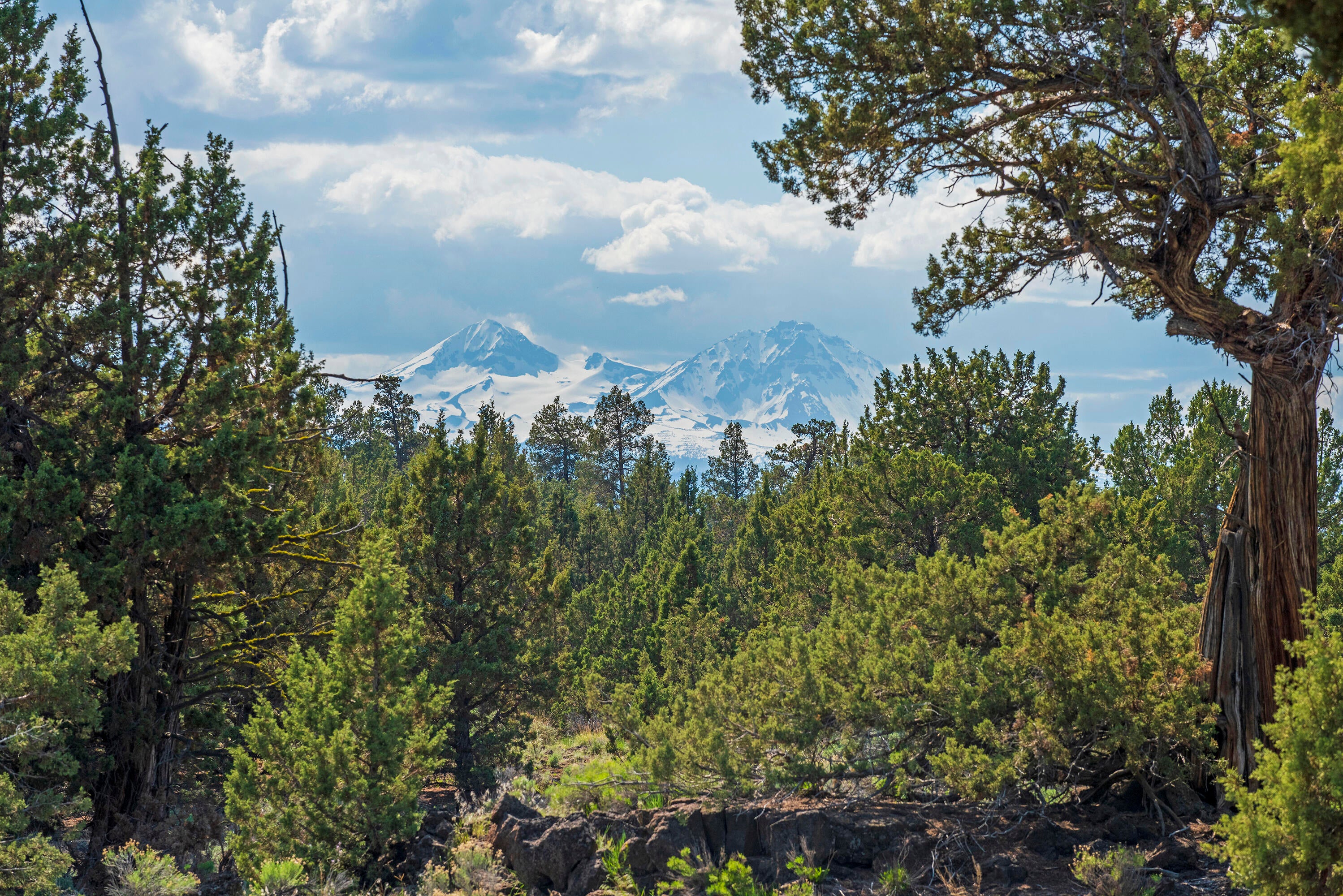 64708 Alcor Place Bend, OR 97703 - Photo 10 of 33 32-print-DSC_6426