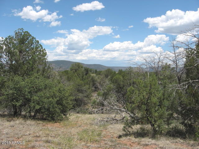 155 Mail Trail Road, Unit A2 Young, AZ 85554 - Photo 1 of 9 1 breathtaking mountain views!