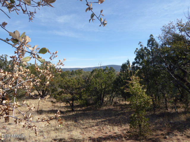 155 Mail Trail Road, Unit A2 Young, AZ 85554 - Photo 2 of 9 NE corner of the lot slopes gently