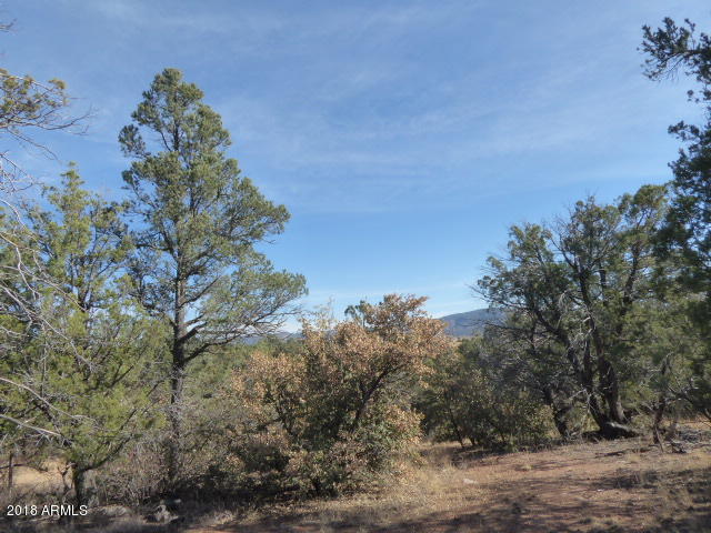 155 Mail Trail Road, Unit A2 Young, AZ 85554 - Photo 3 of 9 View to the East