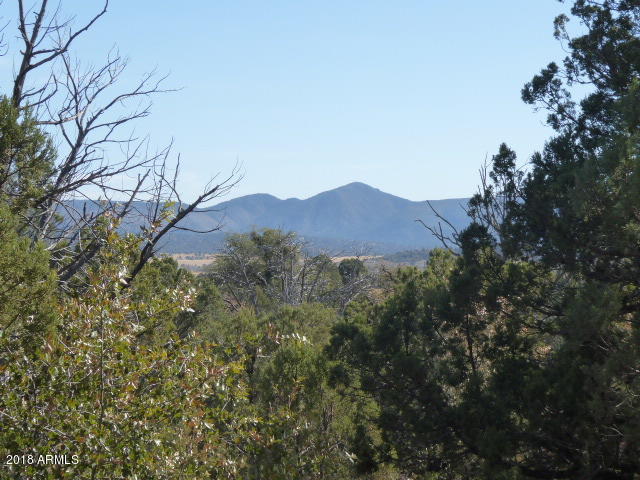 155 Mail Trail Road, Unit A2 Young, AZ 85554 - Photo 4 of 9 2 view to E of Catholic Peak