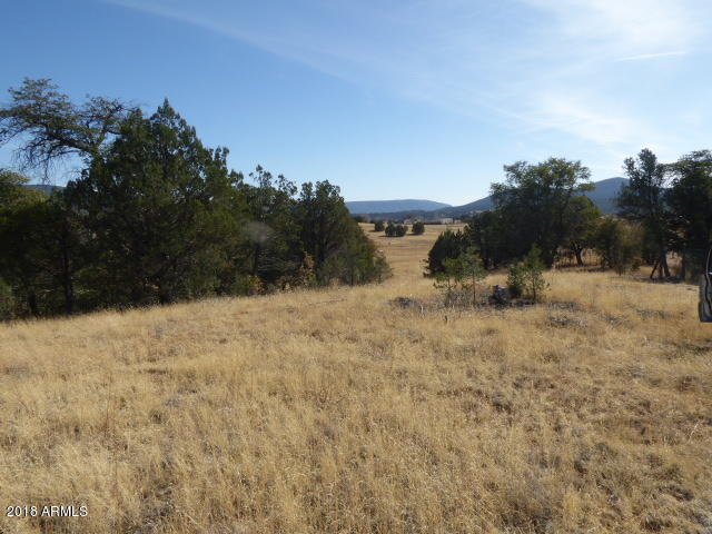 155 Mail Trail Road, Unit A2 Young, AZ 85554 - Photo 5 of 9 Open knoll S end