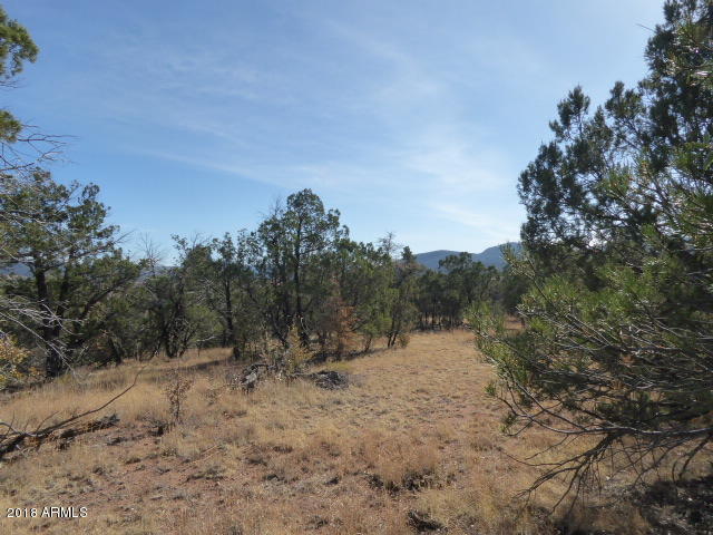 155 Mail Trail Road, Unit A2 Young, AZ 85554 - Photo 6 of 9 gentle terrain at N end of lot