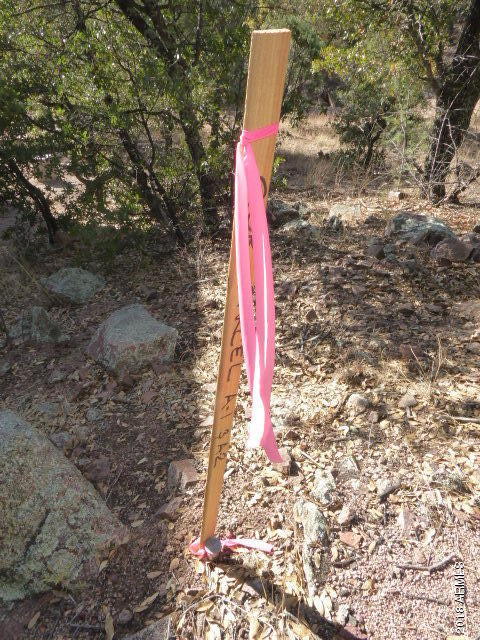 155 Mail Trail Road, Unit A2 Young, AZ 85554 - Photo 7 of 9 10 SE corner pin