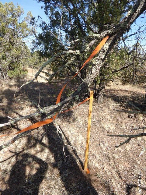 155 Mail Trail Road, Unit A2 Young, AZ 85554 - Photo 9 of 9 Survey point on line