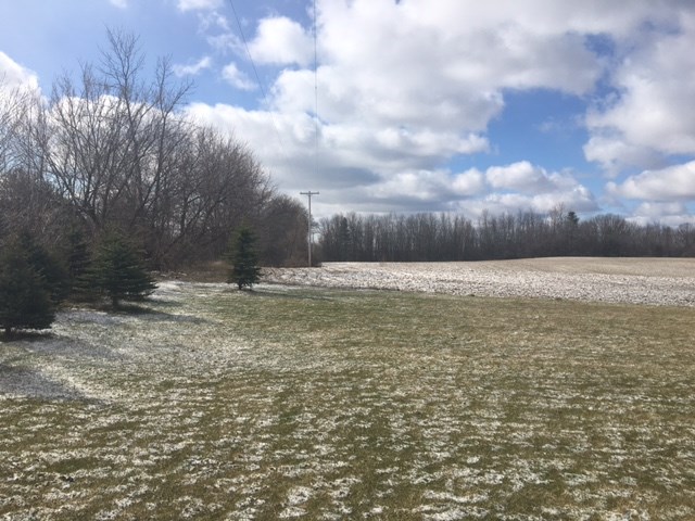 10423 North Rich Road Alma, MI 48801 - Photo 21 of 23 1814166-20.JPG