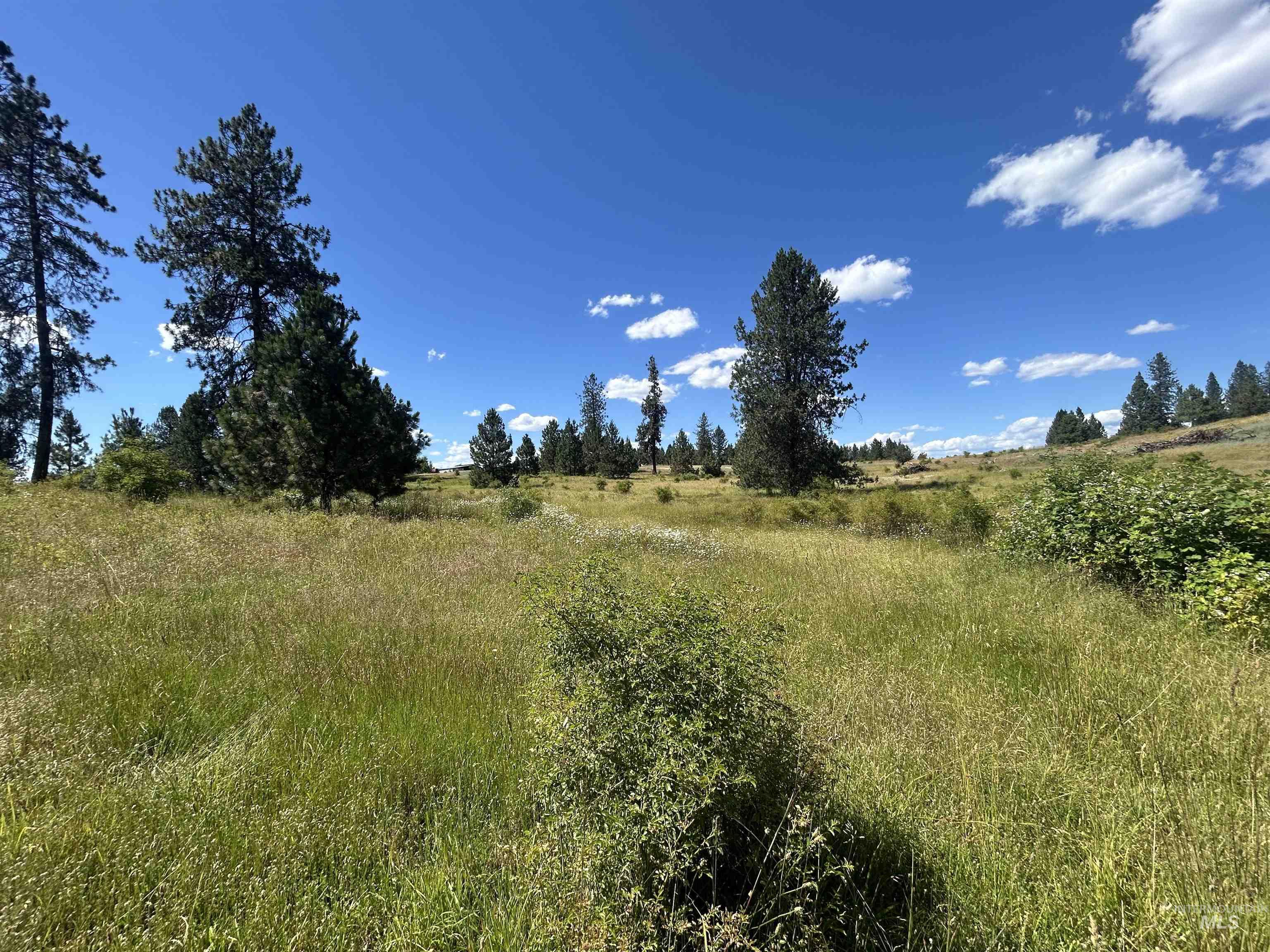 Tbd Lot 2 Tbd Road Kooskia, ID 83539 - Photo 13 of 15