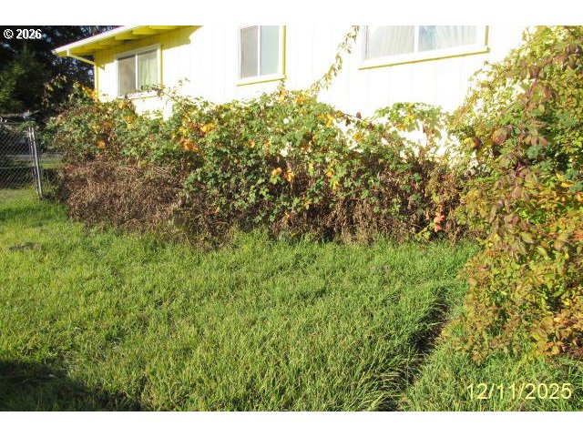 560 St John Street Sutherlin, OR 97479 - Photo 8 of 43 a view of a big yard with plants and large trees