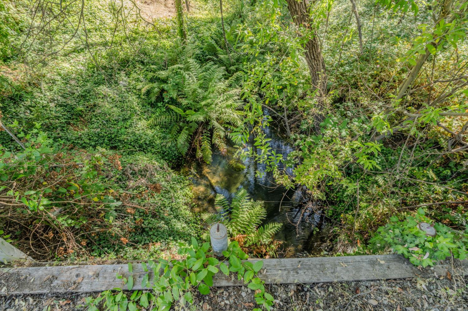 6240 Michel Road Mountain Ranch, CA 95246 - Photo 69 of 92