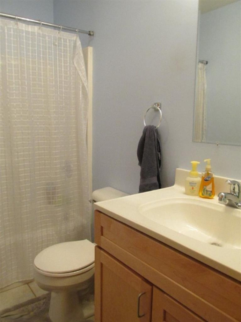 6270 Gould Road Saranac, MI 48881 - Photo 12 of 16 Additional Photo
