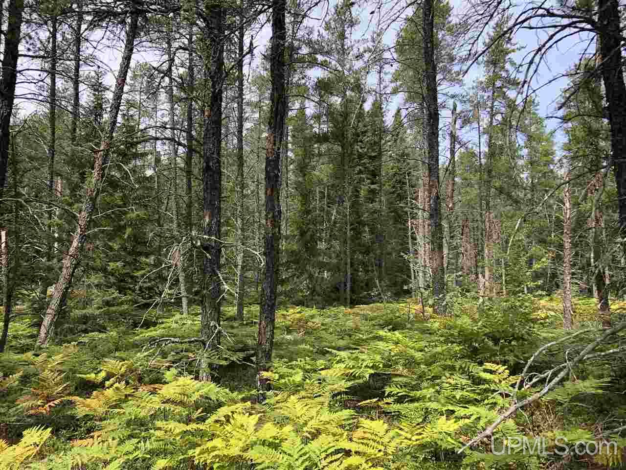 2207 West Co Road Seney, MI 49883 - Photo 28 of 32