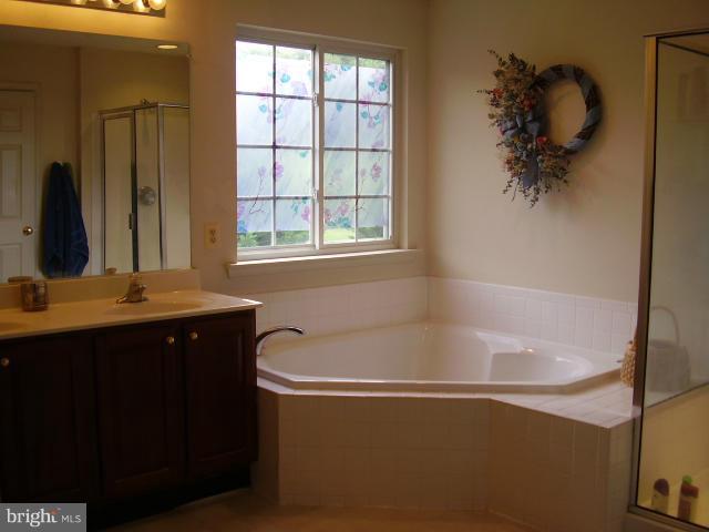 87 North Friendship Court Colora, MD 21917 - Photo 14 of 16 Bath (Master)