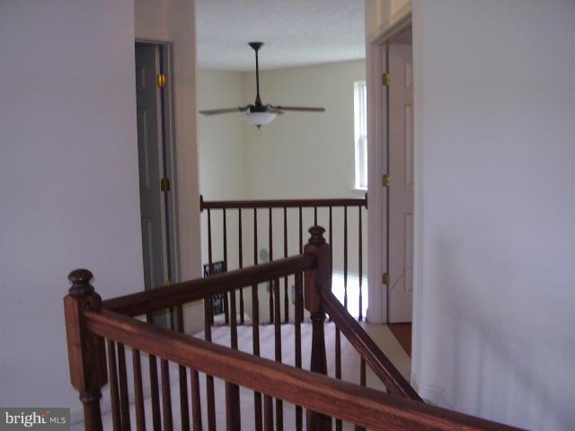 87 North Friendship Court Colora, MD 21917 - Photo 15 of 16 Interior (General)