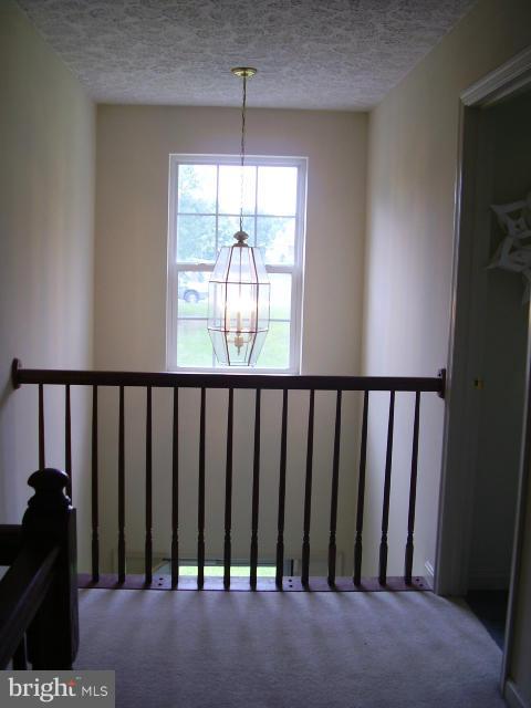 87 North Friendship Court Colora, MD 21917 - Photo 16 of 16 Interior (General)