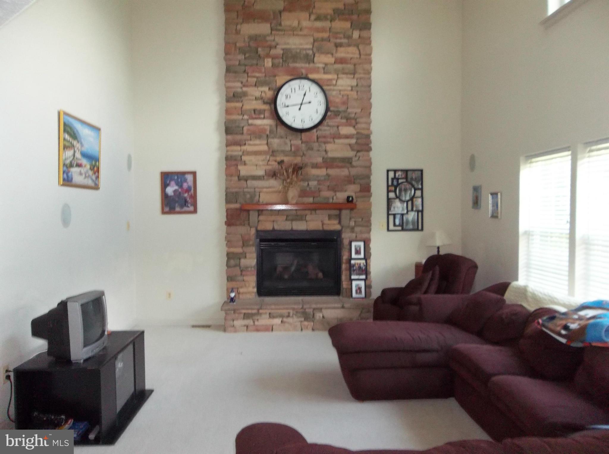 87 North Friendship Court Colora, MD 21917 - Photo 5 of 16 Family Room
