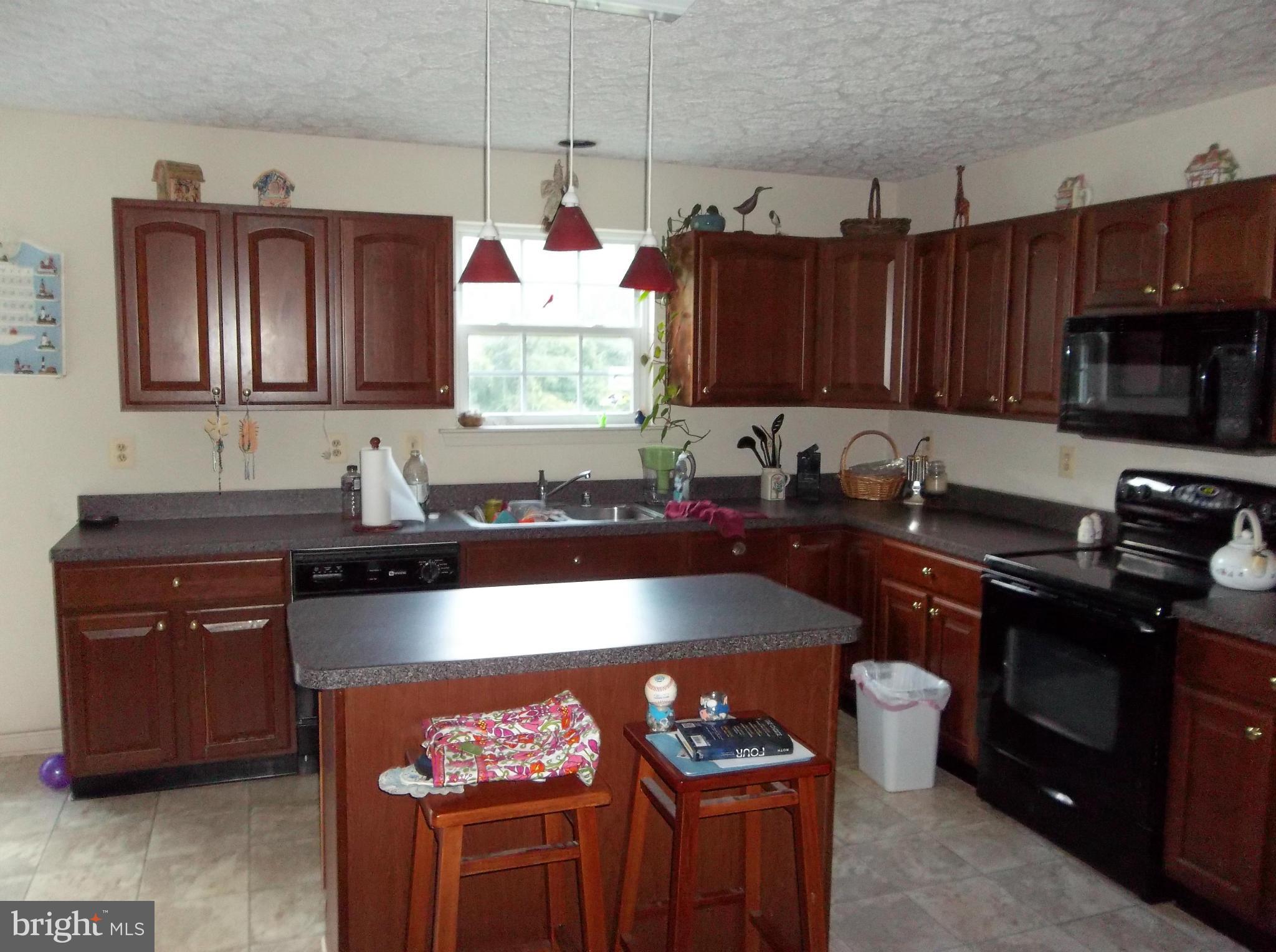 87 North Friendship Court Colora, MD 21917 - Photo 8 of 16 Kitchen
