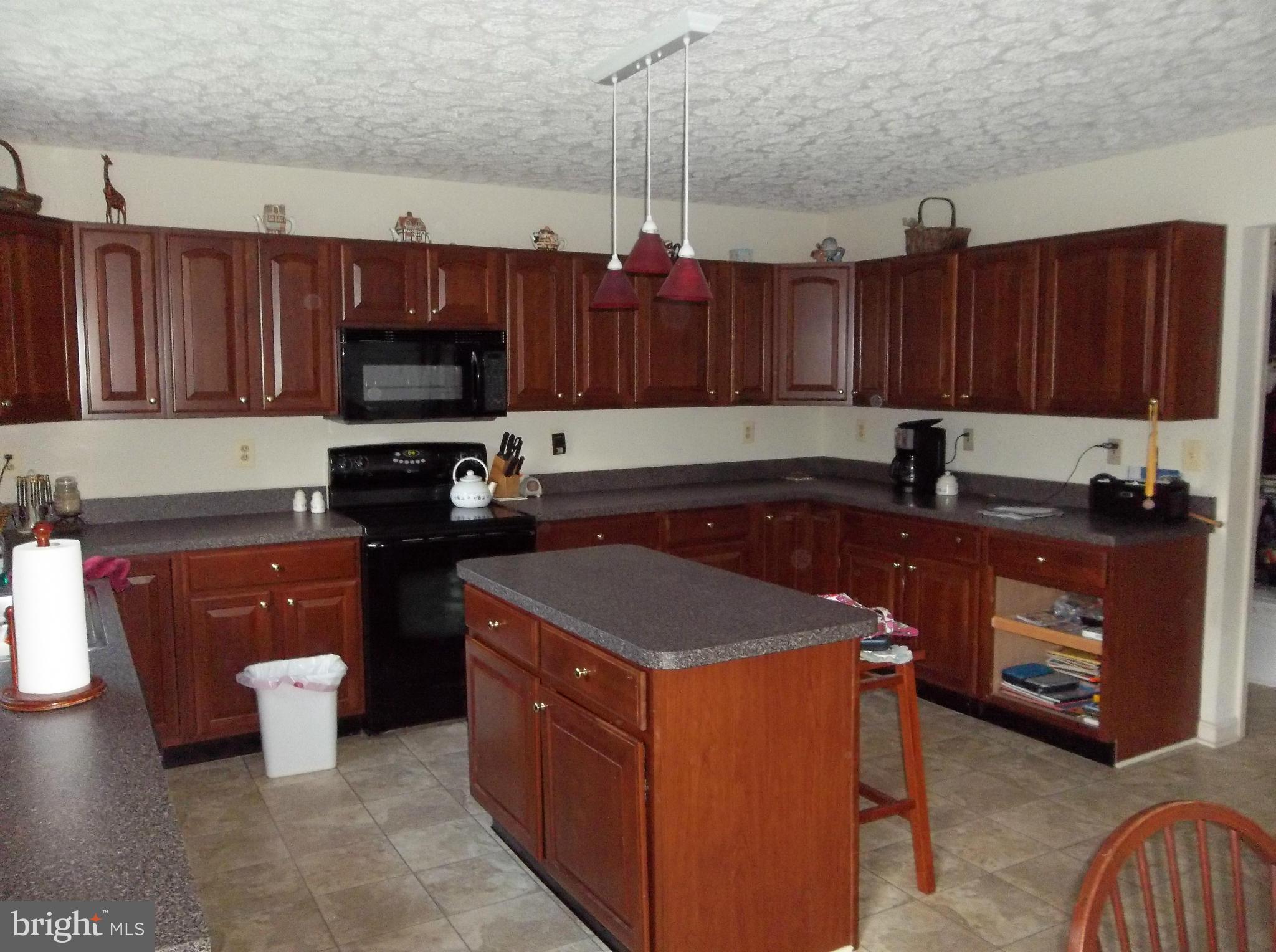 87 North Friendship Court Colora, MD 21917 - Photo 9 of 16 Kitchen