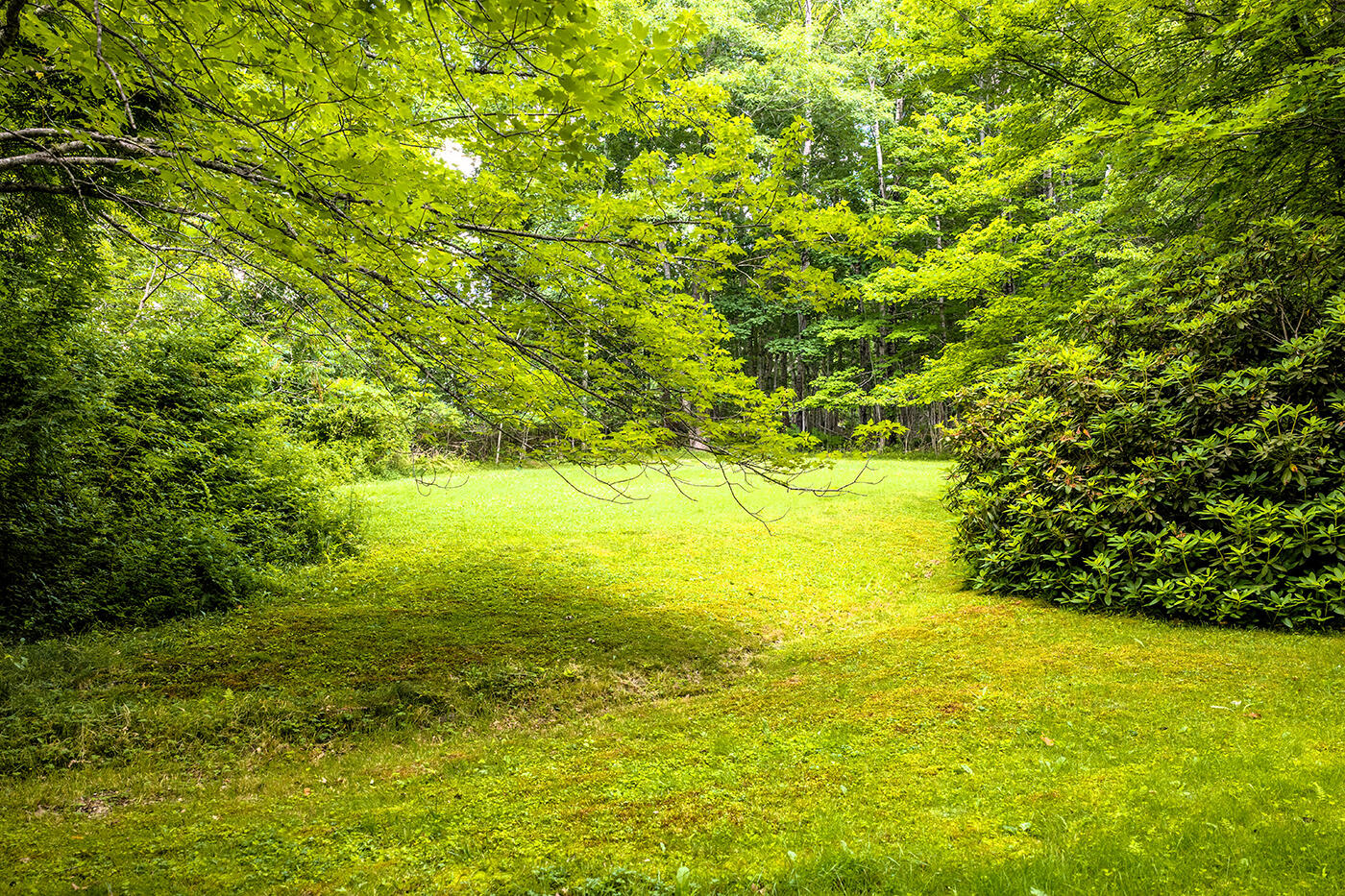 345 Buzzell Hill Road Hope, ME 04847 - Photo 31 of 32 DJI_20260709142333_0121_D