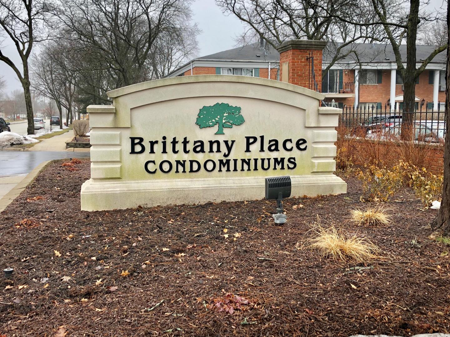 2303 South Goebbert Road, Unit 209 Arlington Heights, IL 60005 - Photo 2 of 9