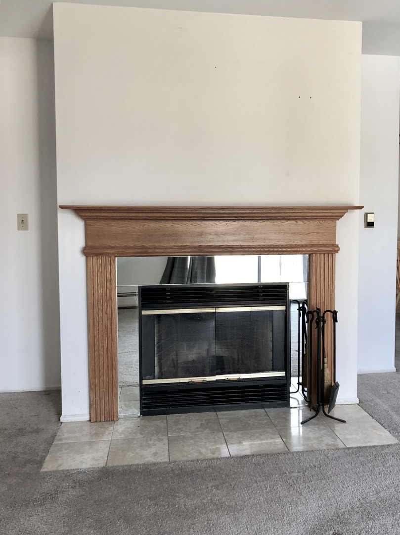 2303 South Goebbert Road, Unit 209 Arlington Heights, IL 60005 - Photo 6 of 9