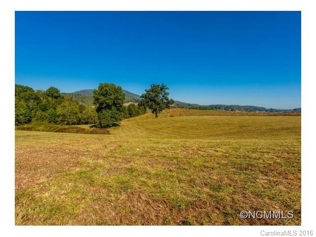 0 Newfound Road Asheville, NC 28806 - Photo 12 of 24 Gallery Image 12