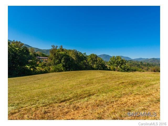 0 Newfound Road Asheville, NC 28806 - Photo 13 of 24 Gallery Image 13