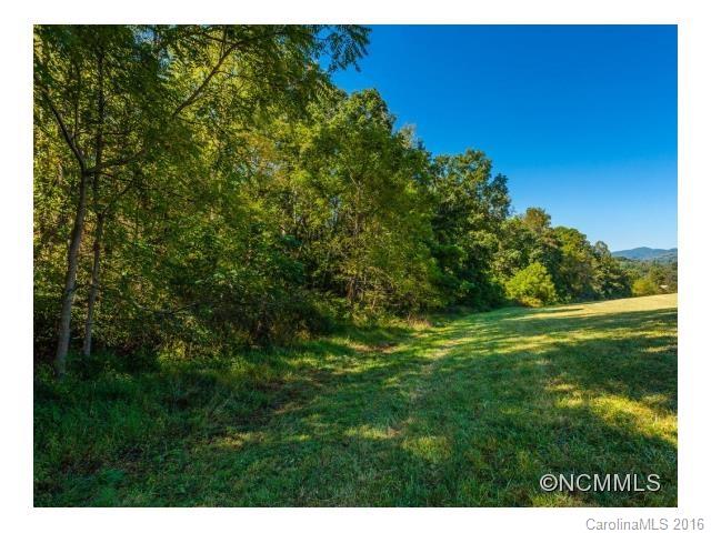 0 Newfound Road Asheville, NC 28806 - Photo 17 of 24 Gallery Image 17