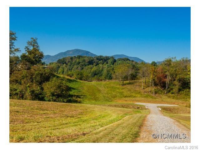 0 Newfound Road Asheville, NC 28806 - Photo 19 of 24 Gallery Image 19
