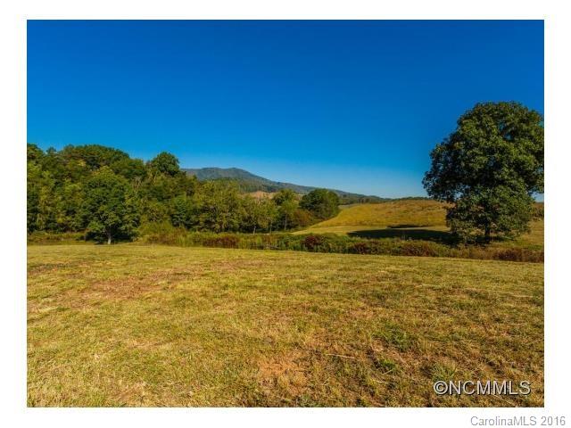 0 Newfound Road Asheville, NC 28806 - Photo 8 of 24 Gallery Image 8