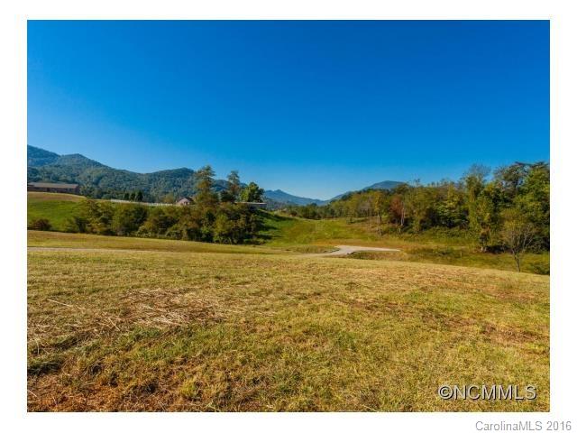 0 Newfound Road Asheville, NC 28806 - Photo 9 of 24 Gallery Image 9