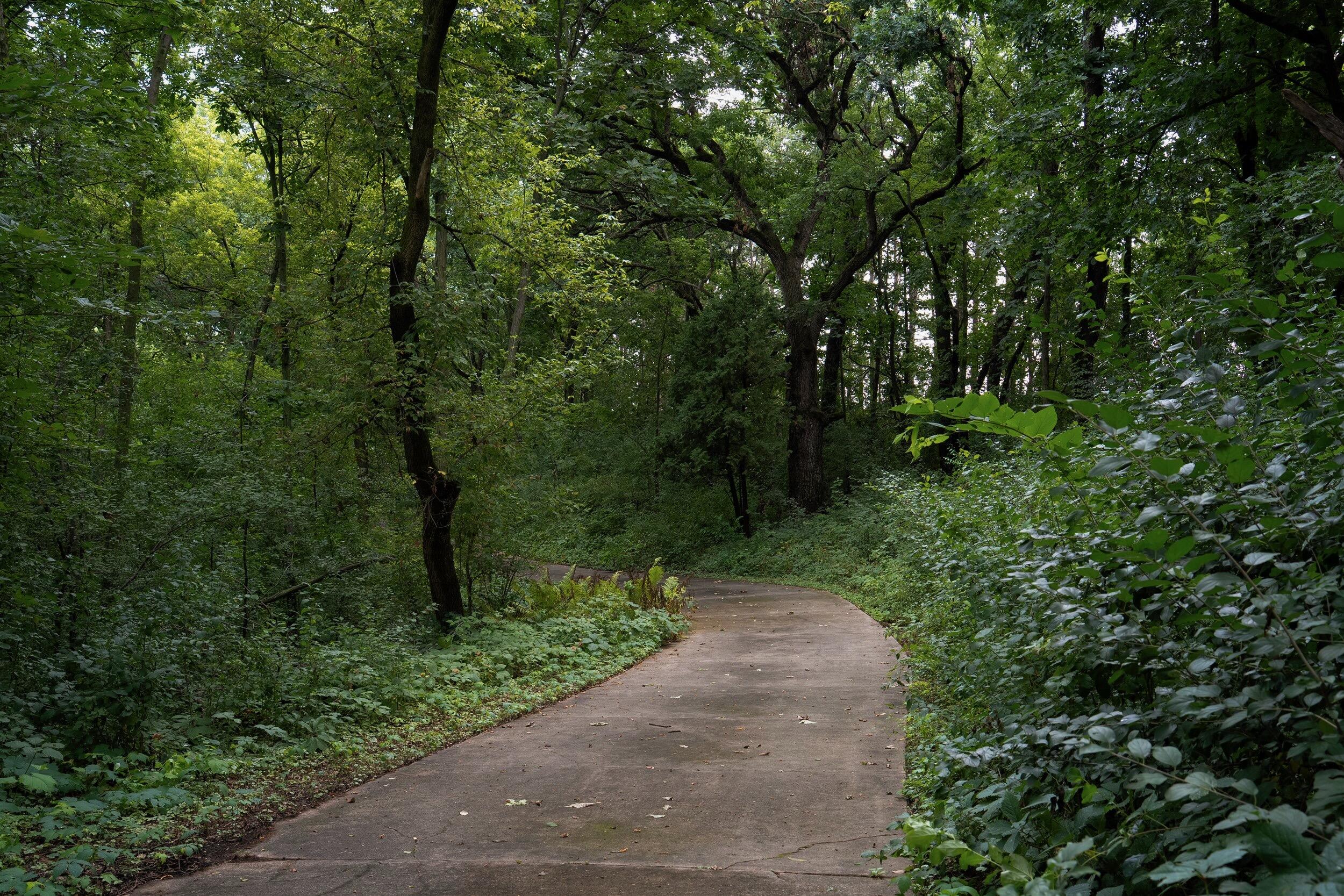dane-county-wisconsin-land-for-sale-stra