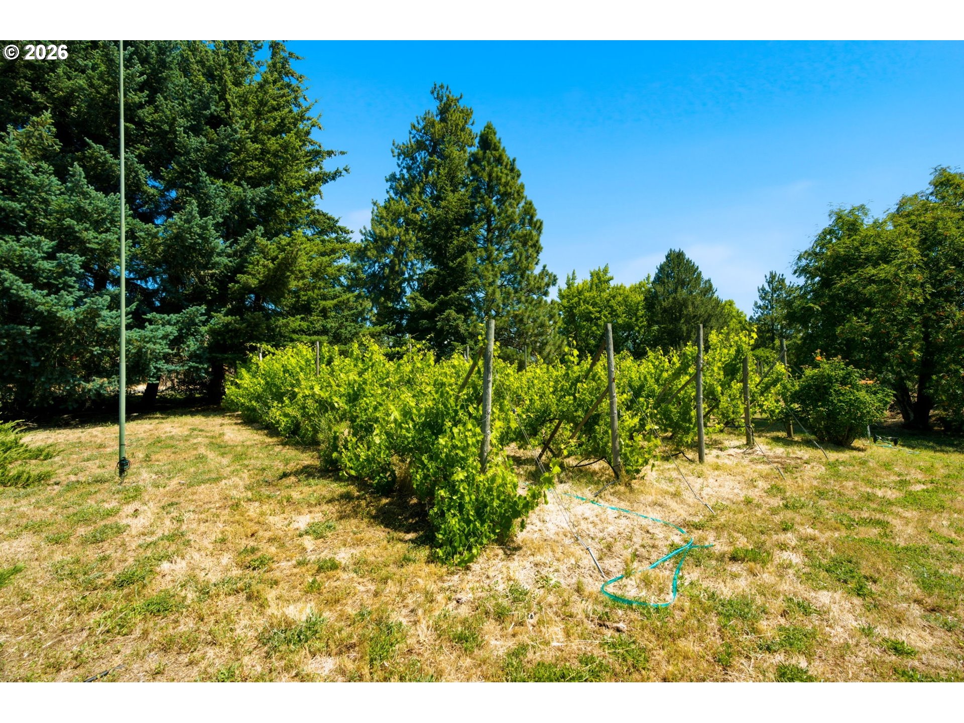 1109 Country Club Road Hood River, OR 97031 - Photo 29 of 40