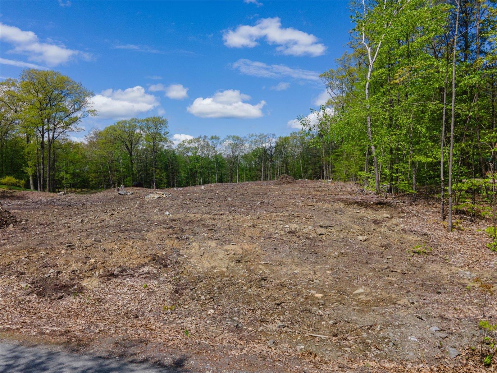 Pond Brook Road Chesterfield, NH 03443 - Photo 34 of 37 Gallery Image 34