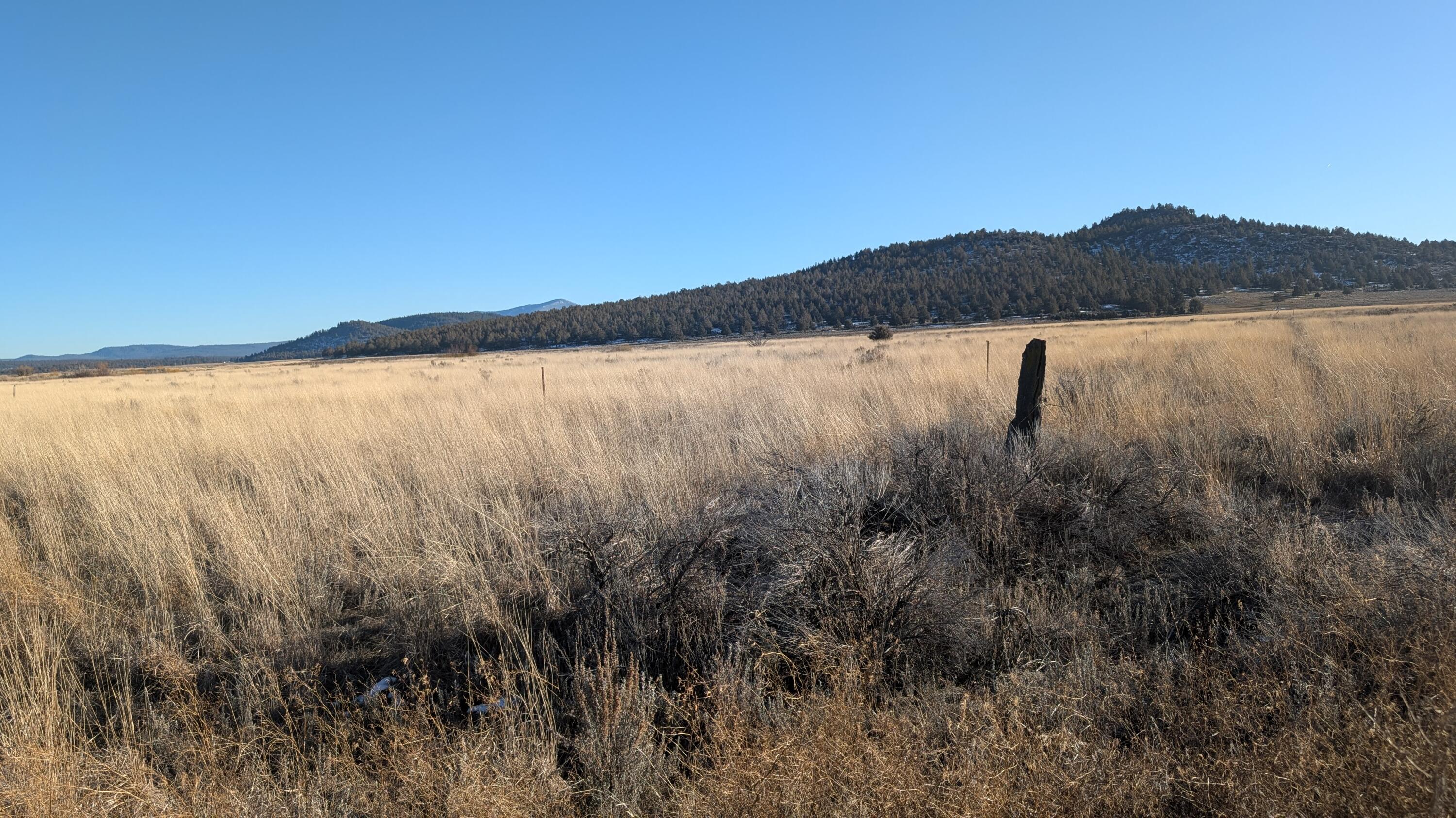 Deschutes Street, Unit 4 Chiloquin, OR 97624 - Photo 11 of 17 1000009186