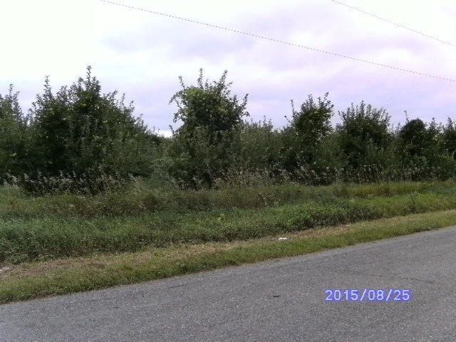 7780 Hill Road Watervliet, MI 49098 - Photo 1 of 13 hill.rd 007
