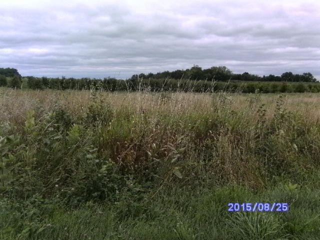 7780 Hill Road Watervliet, MI 49098 - Photo 11 of 13 HILL.2 005
