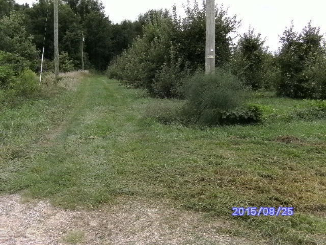 7780 Hill Road Watervliet, MI 49098 - Photo 13 of 13 HILL.2 007