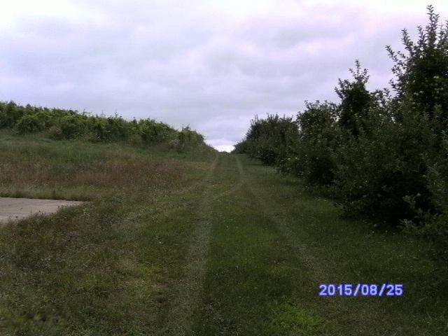 7780 Hill Road Watervliet, MI 49098 - Photo 6 of 13 hill.rd 005