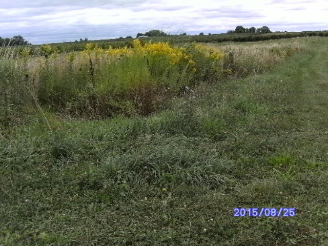 7780 Hill Road Watervliet, MI 49098 - Photo 10 of 13 HILL.2 004
