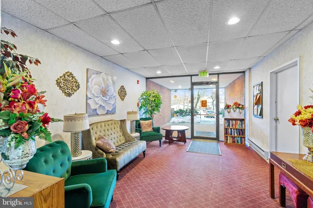 a view of a livingroom with furniture and a potted plant