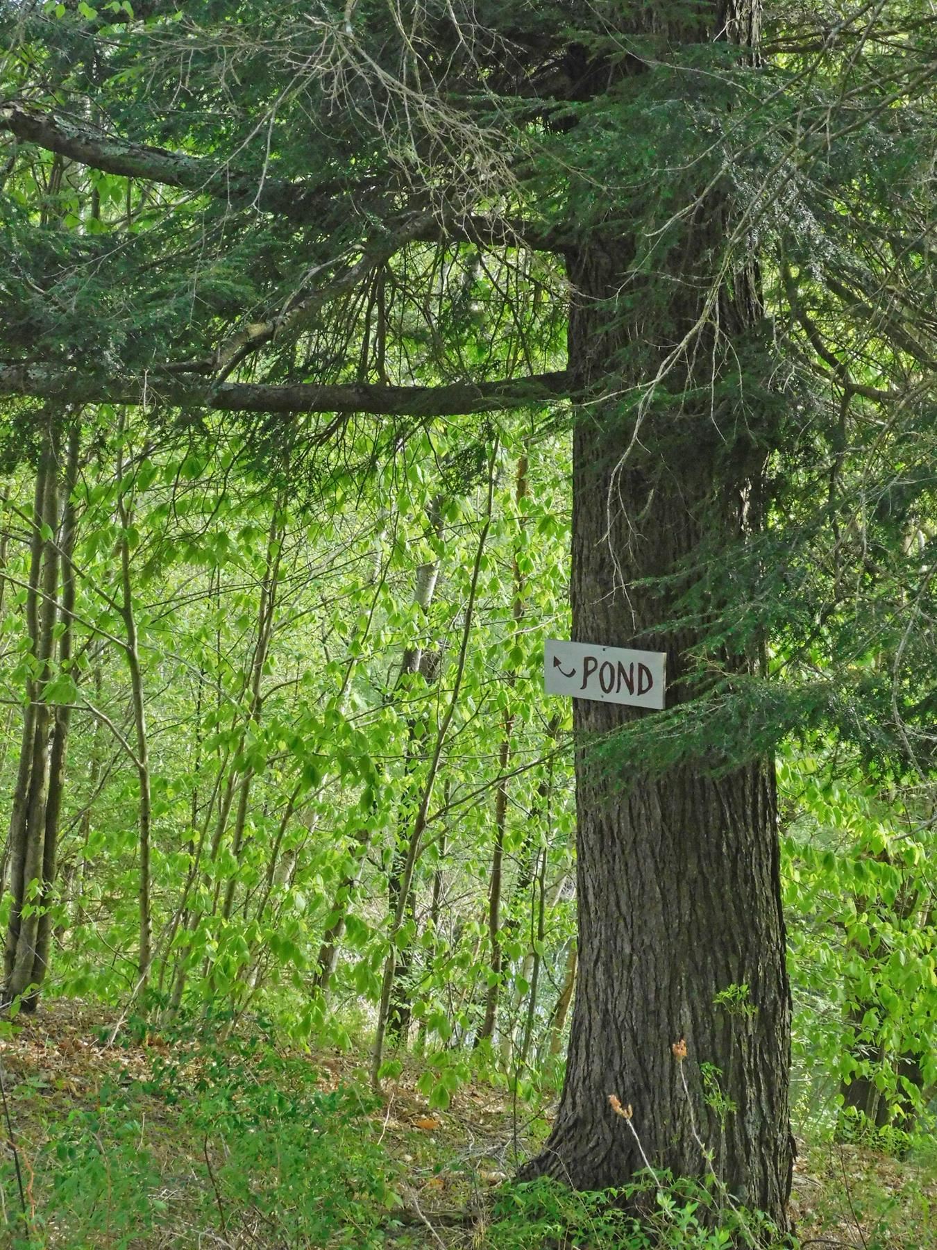 359 Old Center Fayston Road Fayston, VT 05673 - Photo 31 of 40 Gallery Image 31